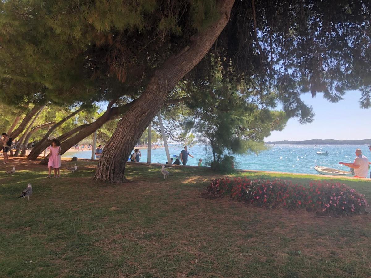 Istrian Stone House In The Heart Of The Beautiful Fishing Village Fazana - Only Few Steps From The Sea And The Wonderful Beach - Incl Plasma-Quad-Plus-Filter Against C O V I D Exterior foto